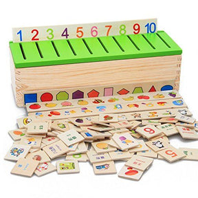 Montessori Knowledge Classification Box