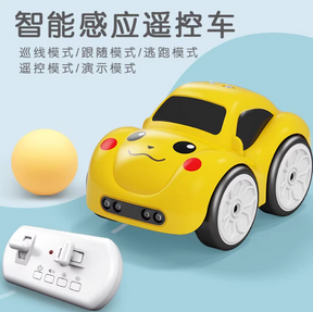 Electric Mini Remote & Induction Controlled Car